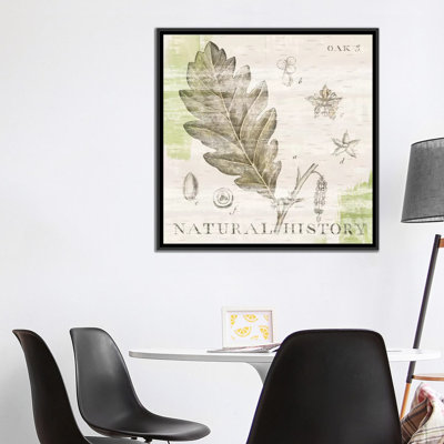 Natural History Oak Textual Art Print