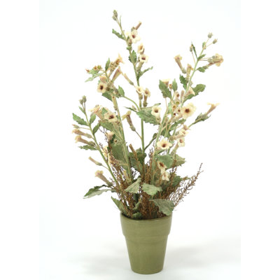 Arrangement floral Foxglove en pot