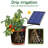 Solar Drip Irrigation