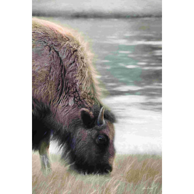 Yellowstone Buffalo 2886777