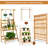 Jasiah Plant Stand