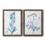 "Antique Botanical In Blue III", ensemble de 2 peintures sur toile encadrées-124724873-124725111