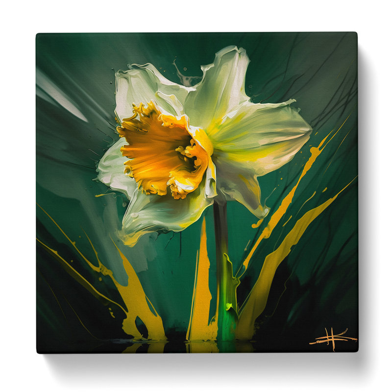 Wrapped Canvas Print, 50cmH x 50cmW