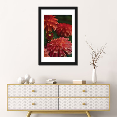 « dahlia », reproduction de photo sur toile