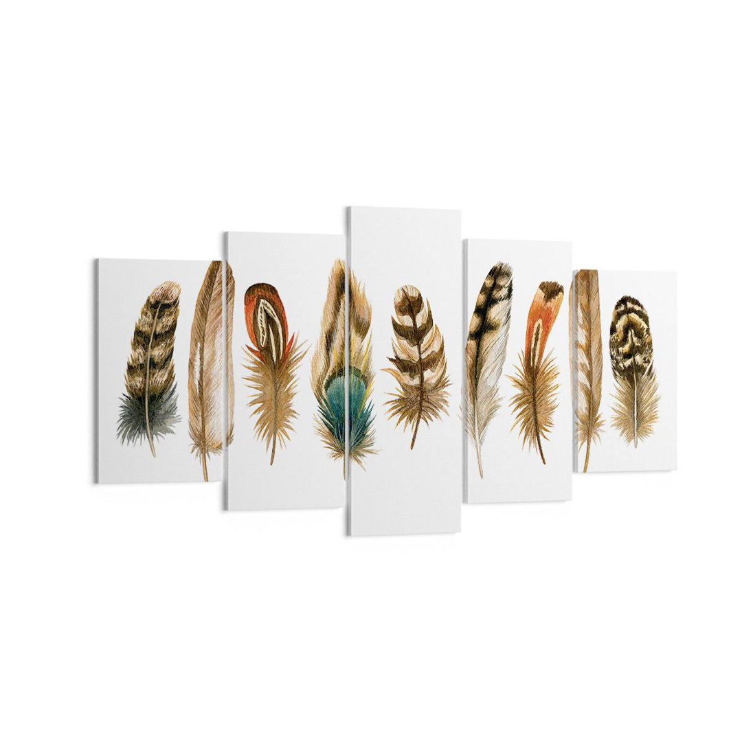 5-tlg. Leinwandbilder-Set White Background Feathers