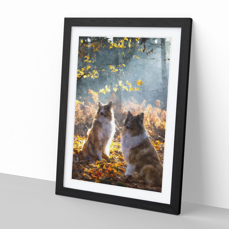 Two Rough Collie Dogs - Framed Print, Black Framed, 65cm H x 48cm W x 2cm D