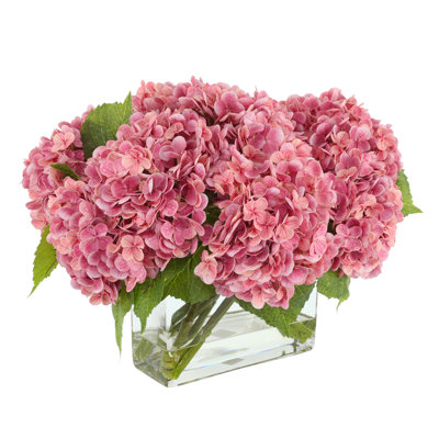 Véritable hydrangée dans un vase en verre