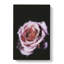 The Pale Purple Rose in Abstract - Wrapped Canvas-55303369