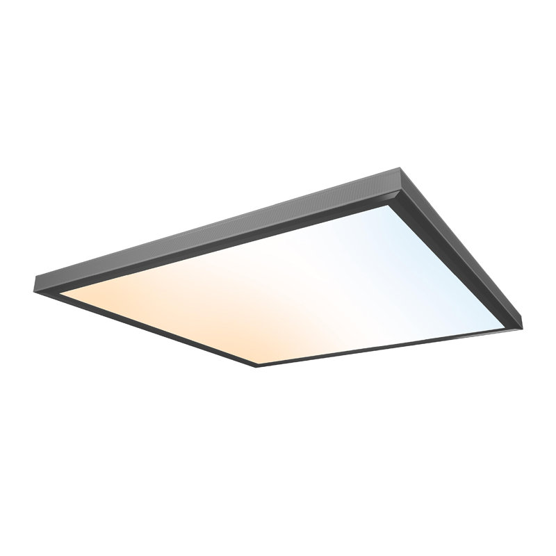 Plafonnier à fixation en surface 2X2 pi - mince, bord éclairé, panneau plat encastré, Noir mat