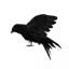 2 pièces d'Halloween avec corbeau et grand corbeau réaliste