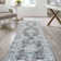 Elloise Bohemian Distressed Chenille Machine-Washable Dark Gray/Blue Rug