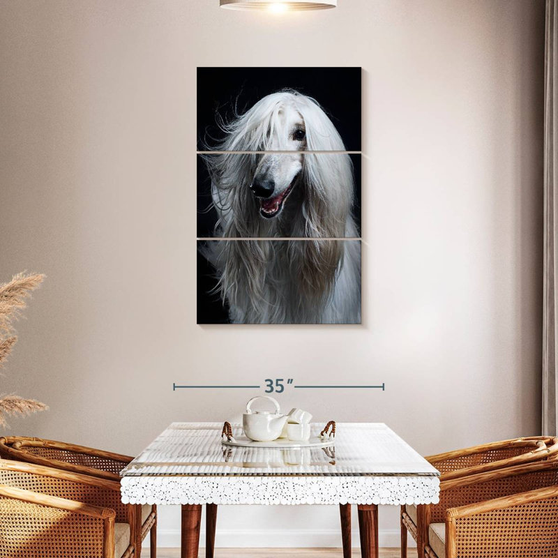 Brampt Long Haired Afghan Hound, 45" H x 28" W
