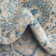 Gause Oriental Indoor Rug