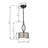 Denny 1 - Light Single Pendant