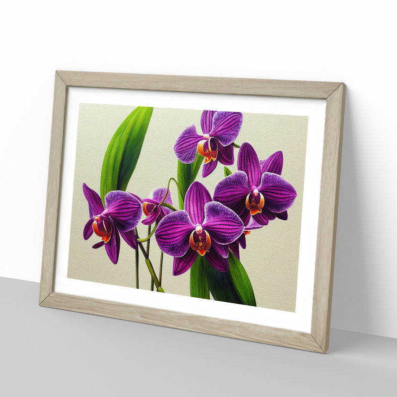 Intriguing Orchid Flowers - Single Picture Frame Print, 46cm H x 64cm W x 2cm D, Oak