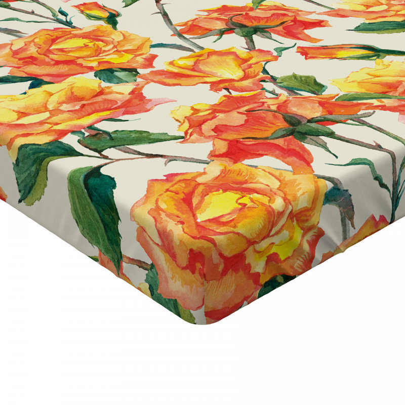 Drap-housse en microfibre Ambesonne, Double