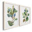 «Seeded Eucalyptus I», ensemble de 2 reproductions d'art sur toile-1047157799-1047157792