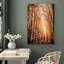 Automne automne «Orange Brown Autumn Forest Trees Landscape Images» sur-99142221-99142220