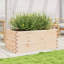 2 Wood Planter-100491928-100491931