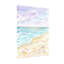 Plantes et fleurs Vagues de plage Mouettes Coquilles de ciel Sable Coucher de soleil Eau-905989502