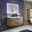 Ensemble de meuble-lavabo simple 48 po Ayaan