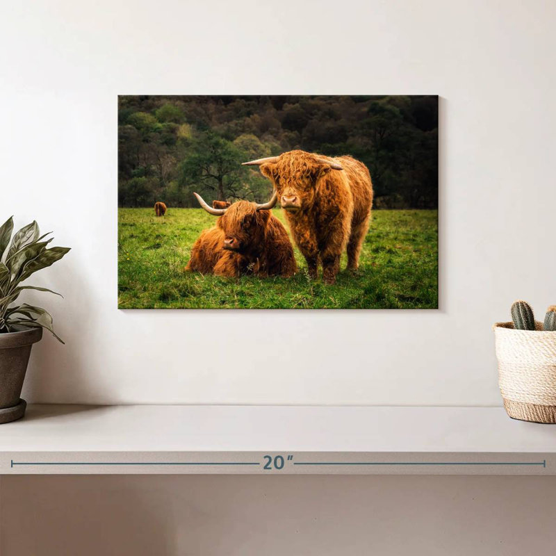 Brampt Highland Cow Friends, H 8 po x l 12 po