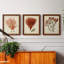 Antique Red Coral IV - Ensemble de 3 peintures sur toile encadrées-1301298112-1301298115