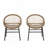 Outdoor Wicker Papasan Chair