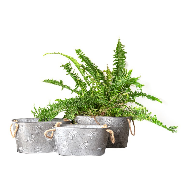  Ensemble de 3 seaux décoratifs en métal pour la maison et le jardin, Rond