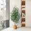 Eucalyptus artificiel Adcock dans un panier-1341858207-1311035831