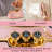 SALAV IS-900 Retro Edition Duopress Garment Steamer + Iron, Rose
