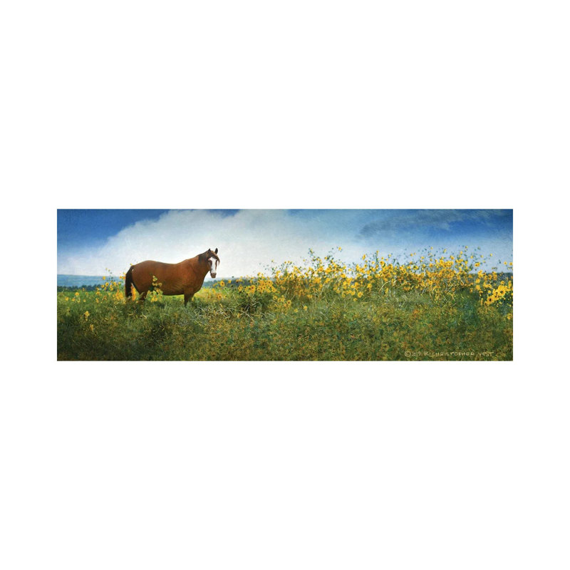Horse In Flowers I by Christopher Vest - Wrapped Canvas Panoramic Painting, 30.48 cm H x 91.44 cm W x 1.91 cm D