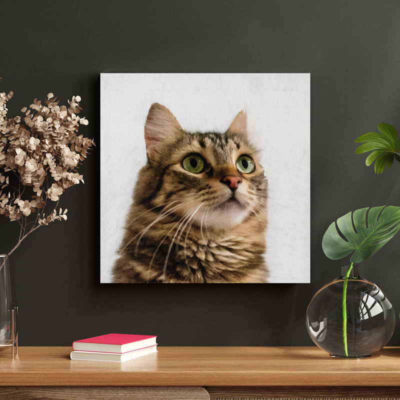 Chat tigré brun sur fond blanc - Impression sur toile tendue carrée 1 pièce, H 16 po x l 16 po