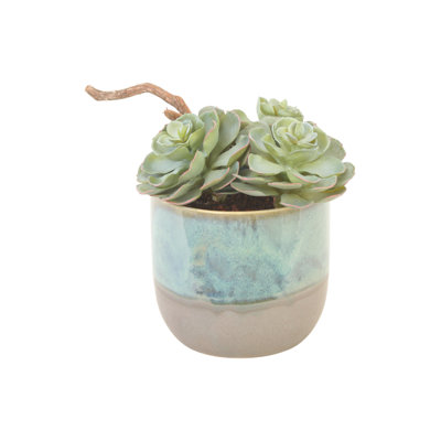 Pot à fleurs Rosette Succulents en turquoise / gris
