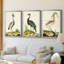 Heron Portrait I  -Custom Framed  Wrapped Gallery Canvas - 3 Pieces-1122106579-1122106542