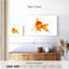 Poisson rouge