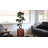 Panama 37" Artificial Bonsai Tree in Planter