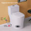 Arlo Compact One Piece Toilet with Comfort Chair Seat ADA Height 17.3", Elongated Dual Flush 1.1/1.6 GPF-95418113