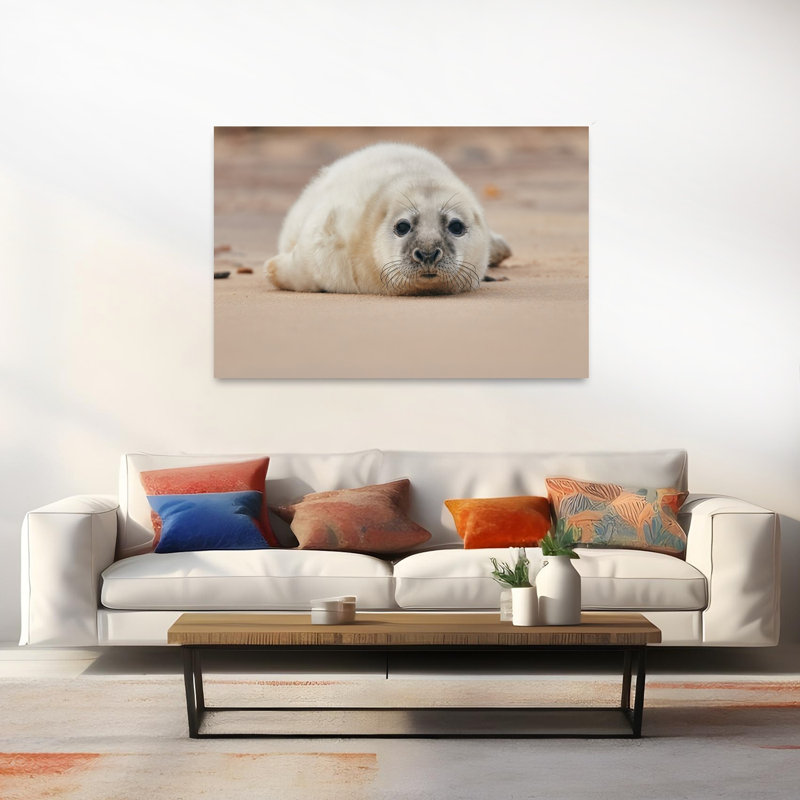 Adorable Seal Pup Contemporary Animal Beach Wall Art Print 1 Piece Wrapped Canvas Wall Art, 101.6cm H x 152.4cm W