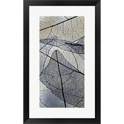 " Transparent 1 " by Kimberly Allen