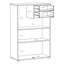 Tekita 2 -Door Rectangle Accent Cabinet