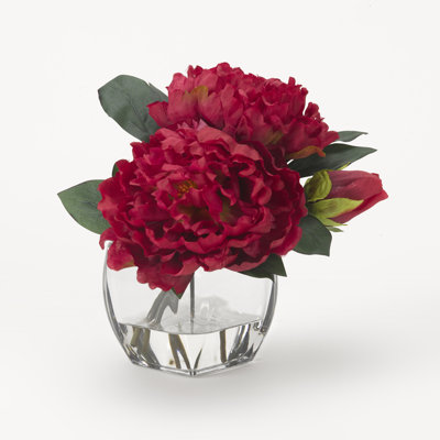 Peony Arrangement in Jar
