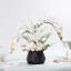 Roudy Arrangement-1752414517