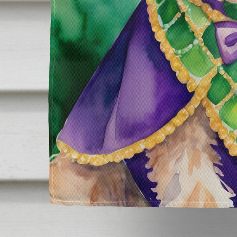 Double Sided 40'' H x 28'' W Polyester Mardi Gras House Flag