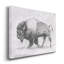 « Wild bison Study II », reproduction d’art sur toile tendue-925442317