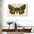 Brampt Natures Butterfly V-108064893
