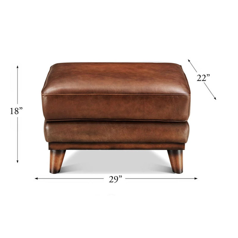 Repose-pieds en cuir Birch Lane Lowell