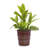 Bean Paste Red Flowerpot Of 3, Ceramic For Indoor And Outdoor Greenery, Featuring Effective Drainage 3 Planters In Red, Long - Lasting Quality, Built In Different Plants-1397137497