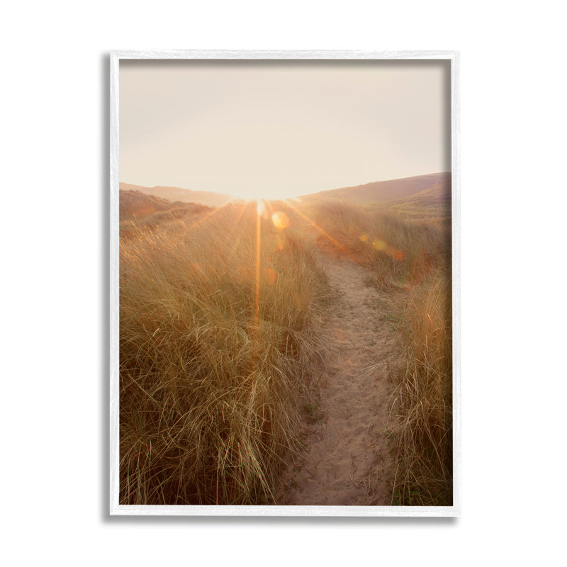 «Sunrays Through Sun Bleached Sand Dunes Tall Grass» par Ian Winistanley - photographie, H 30 po x l 24 po