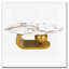 Table basse ovale pour le salon